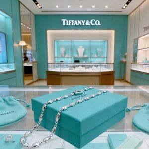 Tiffany & Co. Silver Necklace